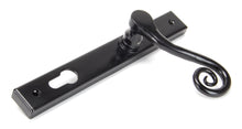 Load image into Gallery viewer, 33037L Black Monkeytail Slimline Lever Espag. Lock Set - LH