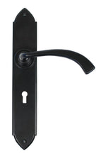 Load image into Gallery viewer, 33136 Black Gothic Curved Sprung Lever Lock Set