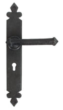 Load image into Gallery viewer, 33170 Beeswax Tudor Lever Lock Set