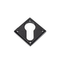 Load image into Gallery viewer, 33236 Black Diamond Euro Escutcheon