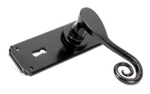 Load image into Gallery viewer, 33279 Black Monkeytail Lever Lock Set