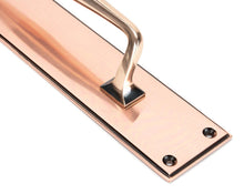 Load image into Gallery viewer, 45378 Polished Bronze 425mm Art Deco Pull Handle on Backplate