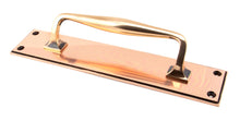 Load image into Gallery viewer, 45383 Polished Bronze 300mm Art Deco Pull Handle on Backplate
