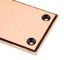 Load image into Gallery viewer, 45393 Polished Bronze 300mm Art Deco Fingerplate