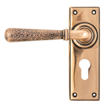 Load image into Gallery viewer, 46228 Polished Bronze Hammered Newbury Lever Euro Lock Set