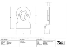 Load image into Gallery viewer, 83827 Polished Brass Euro Door Pull
