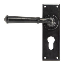 Load image into Gallery viewer, 92060 Black Regency Lever Euro Lock Set