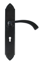 Load image into Gallery viewer, 33136 Black Gothic Curved Sprung Lever Lock Set
