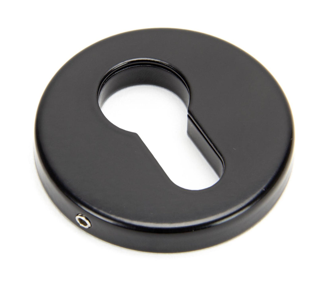 45466 Black 52mm Regency Concealed Escutcheon