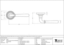 Load image into Gallery viewer, 46059 Polished Nickel Newbury Lever on Rose Set (Beehive)
