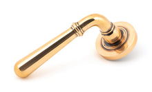 Load image into Gallery viewer, 46065 Polished Bronze Newbury Lever on Rose Set (Plain)
