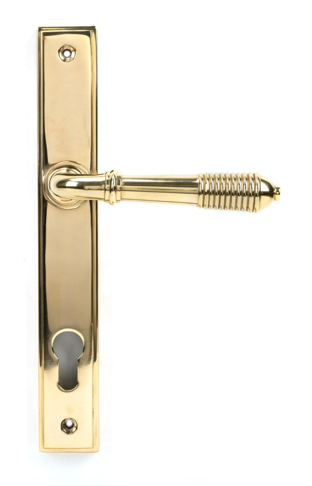 46545 Polished Brass Reeded Slimline Lever Espag. Lock Set