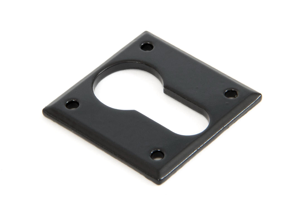 83655 Black Avon Euro Escutcheon