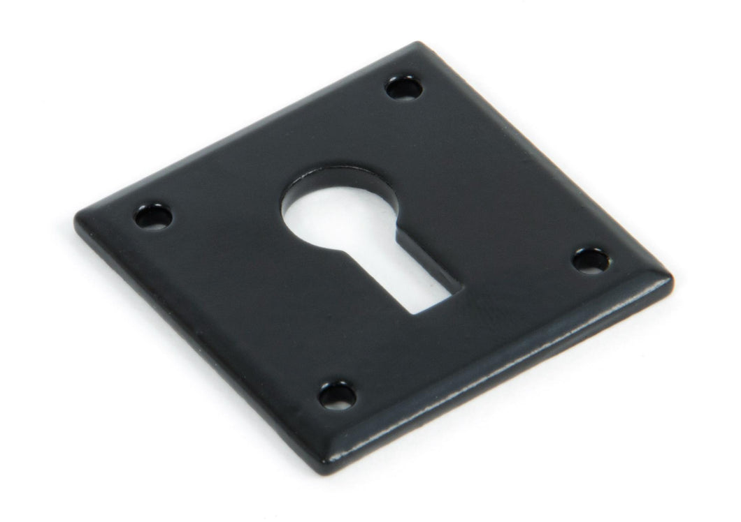 83657 Black Avon Escutcheon