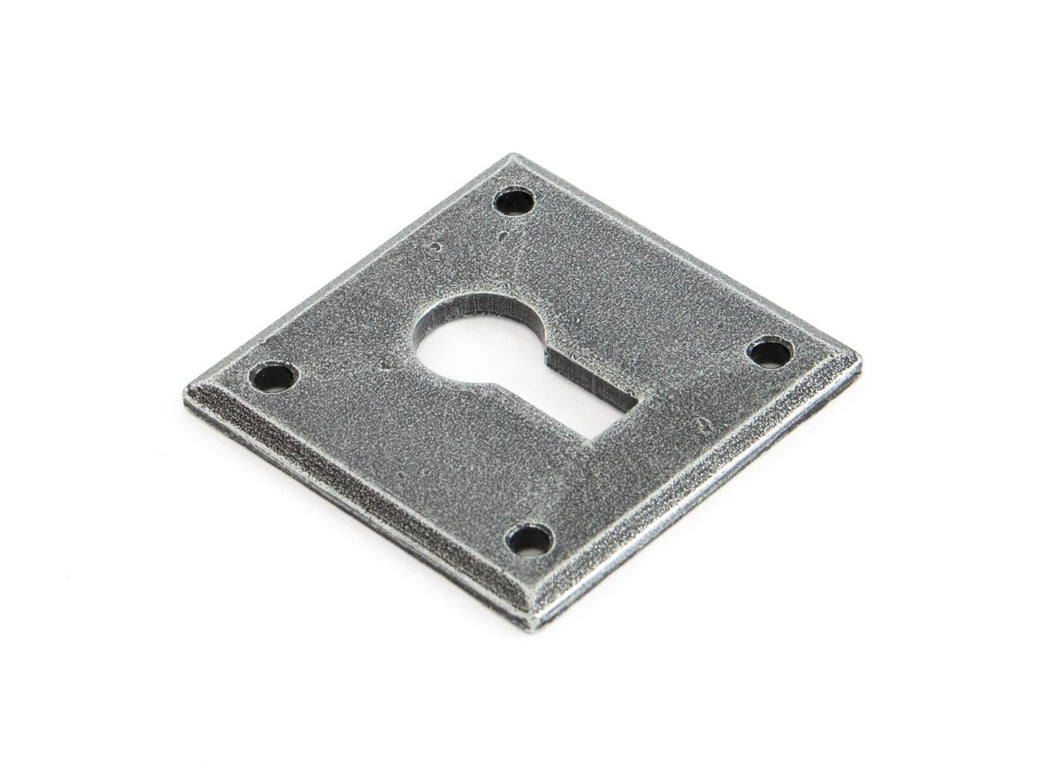 83658 Pewter Avon Escutcheon