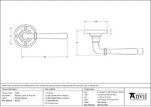 Load image into Gallery viewer, 91923 Polished Bronze Newbury Lever on Rose Set
