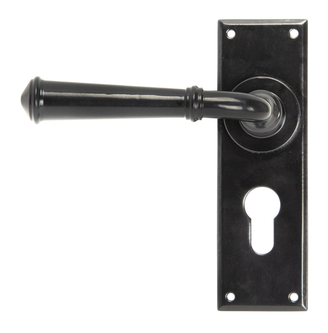 92060 Black Regency Lever Euro Lock Set